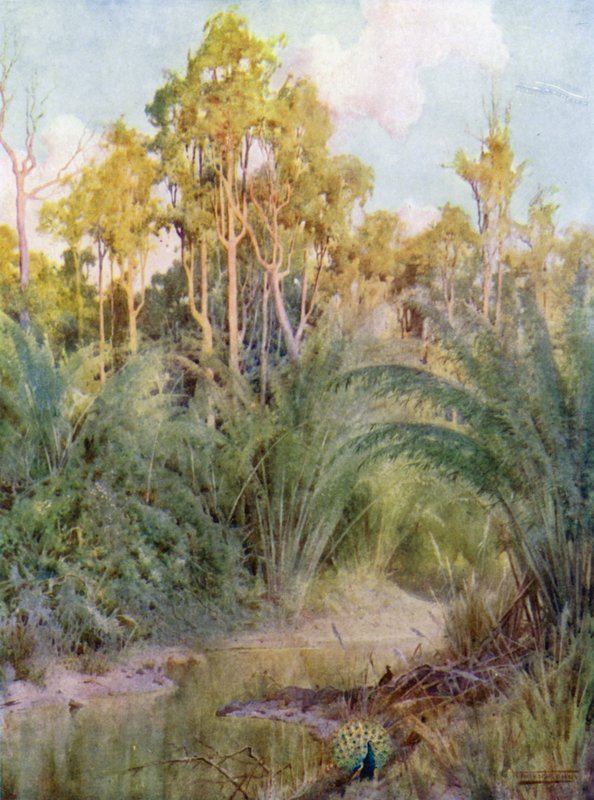 The Home of the Peacock  by Robert George Talbot Kelly