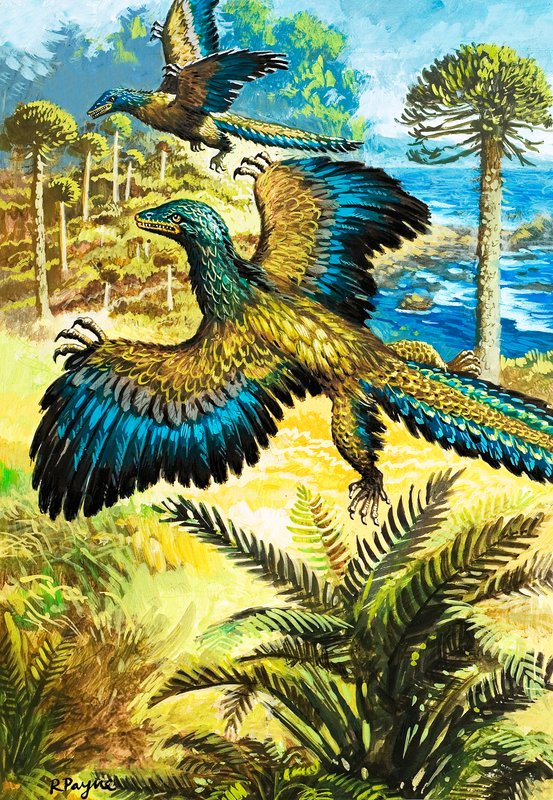 Archaeopreryx by Roger Payne