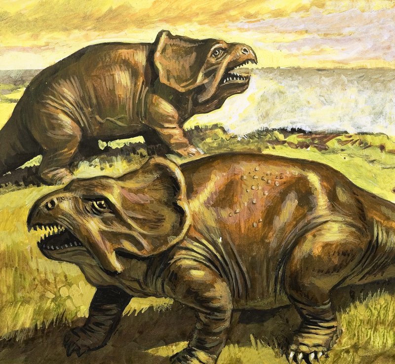 Protoceratops, 