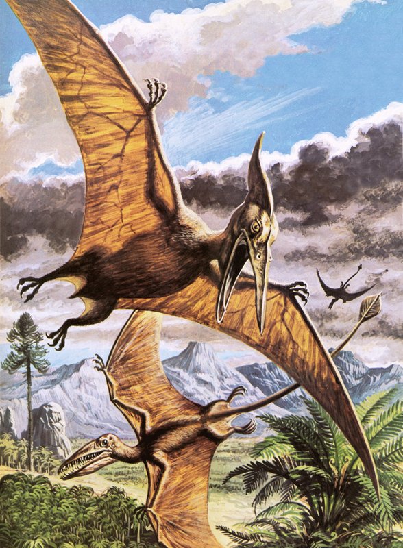 Pteranodon (üstte) ve Rhamphorhynchus (altta) by Roger Payne