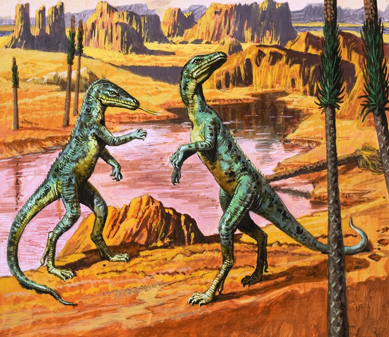 Saltoposuchus, 
