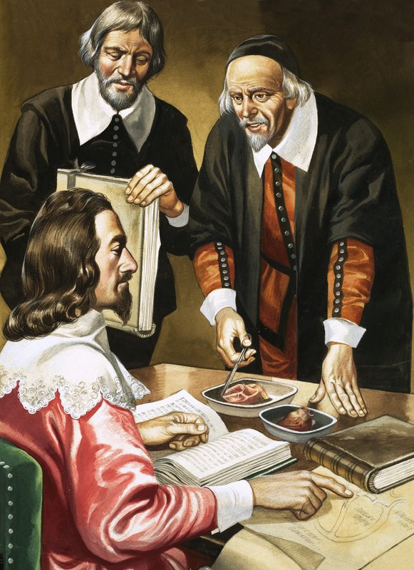 I. Charles ve William Harvey kalbi tartışıyor by Ron Embleton