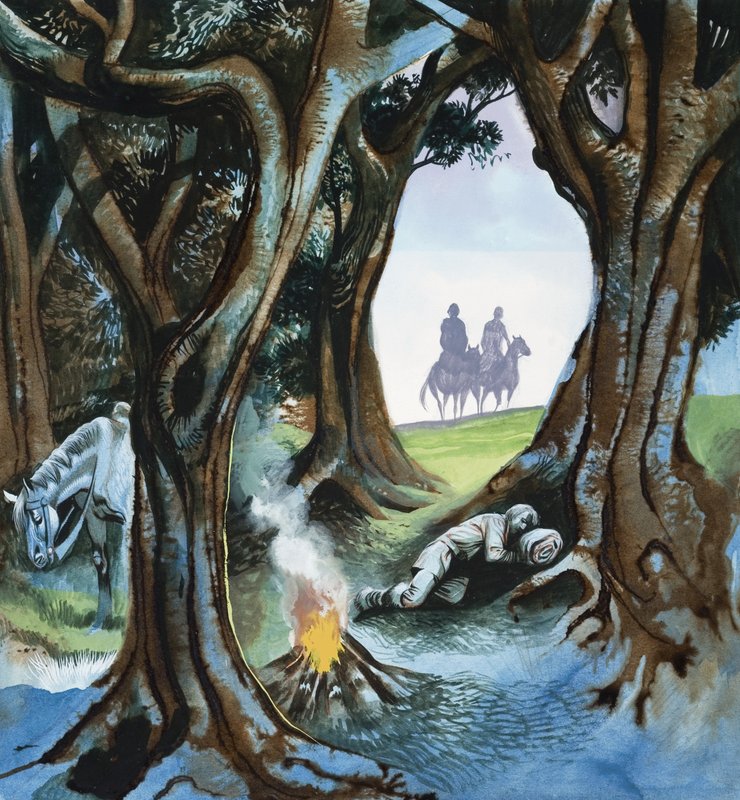 Peri masalı by Ron Embleton