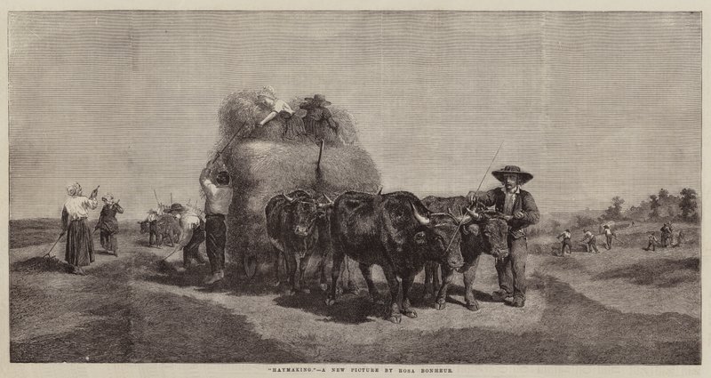 saman yapımı by Rosa Bonheur
