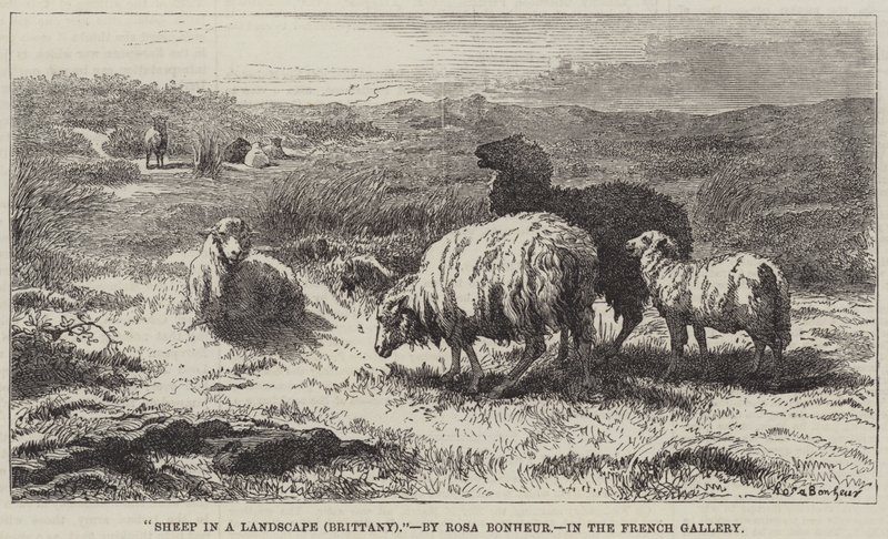 Peyzajdaki Koyunlar, Brittany by Rosa Bonheur