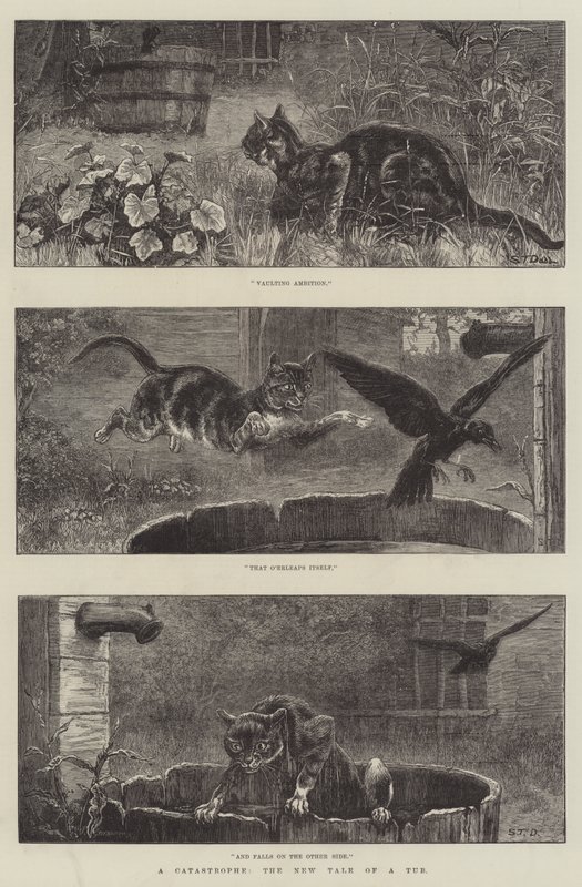 ಒಂದು ದುರಂತ, ಟಬ್ ಟರ್ಕಿಯ ಹೊಸ ಕಥೆ by S.T. Dadd