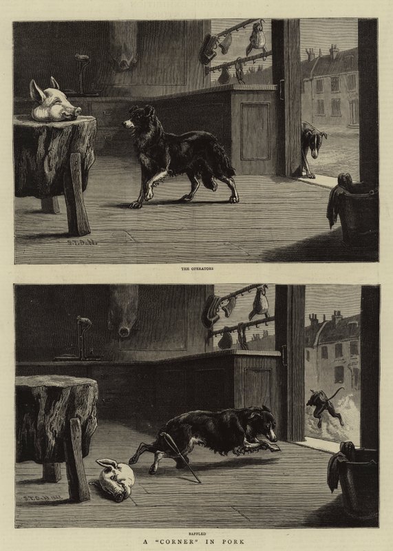 Domuz Eti Köşesi by S.T. Dadd