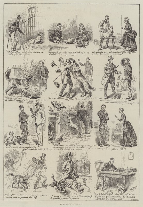 Köpek Karşıtı Protesto by S.T. Dadd