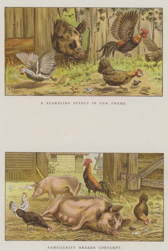 Çiftlik Sahneleri (chromolitho) by S.T. Dadd