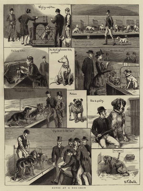 Köpek Gösterisinden Notlar by S.T. Dadd