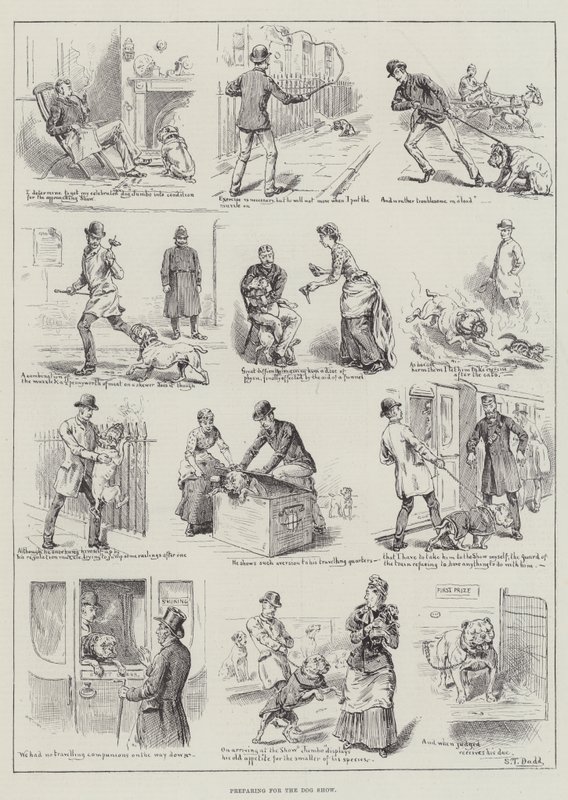 Köpek Şovu için hazırlanıyor by S.T. Dadd