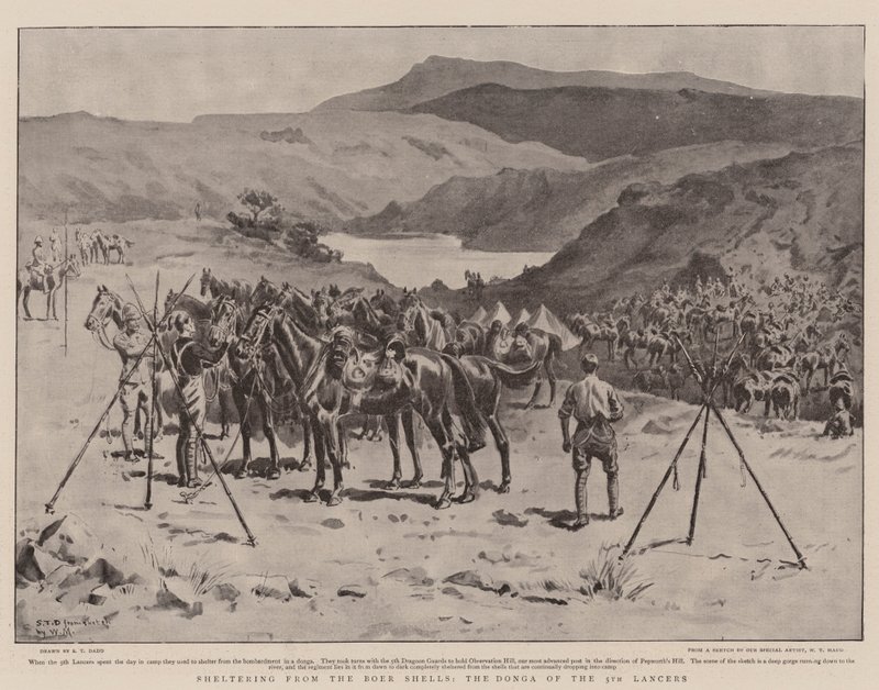 5. Mızraklıların Donga