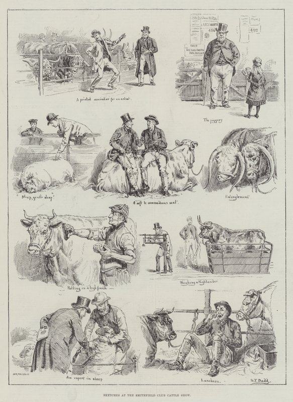 Smithfield Club Sığır Şovunda Skeçler by S.T. Dadd
