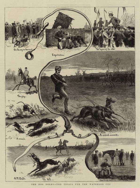 Köpek Derbisi, Waterloo Kupası Denemeleri by S.T. Dadd