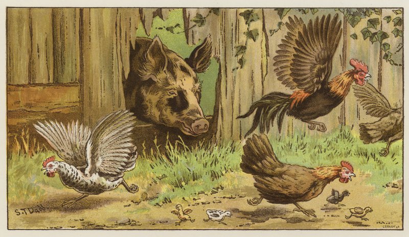 Meşe Çerçevede Şaşırtıcı Etki by S.T. Dadd