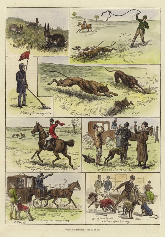Kurs Maçları by S.T. Dadd