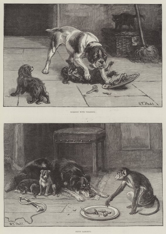 Köpekler ve Yiyecekler by S.T. Dadd