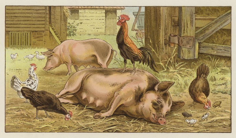 Aşinalık Irkları Aşağılamak by S.T. Dadd