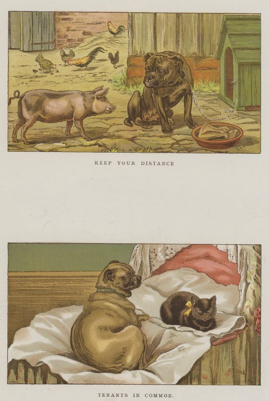 Esprili Köpekler (chromolitho) by S.T. Dadd