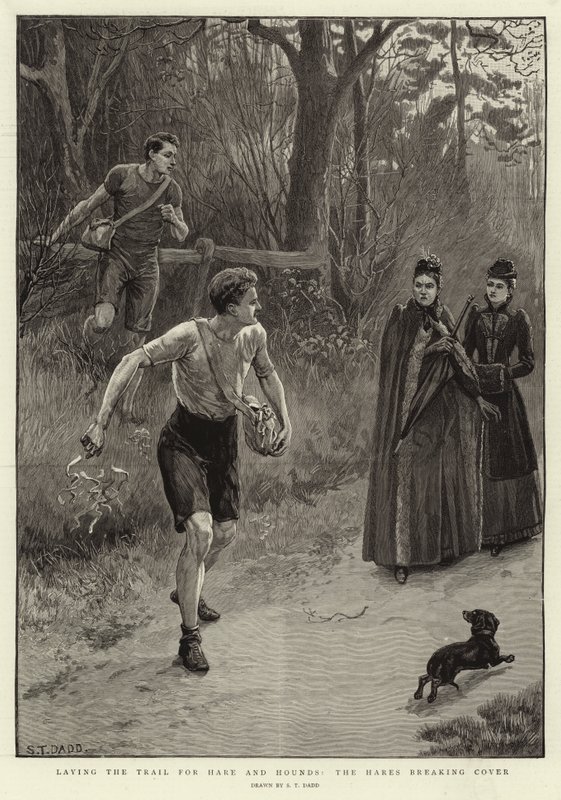 Tavşan ve Tazıların İzini Sürüyor, Tavşanlar Kapağı Kırıyor by S.T. Dadd