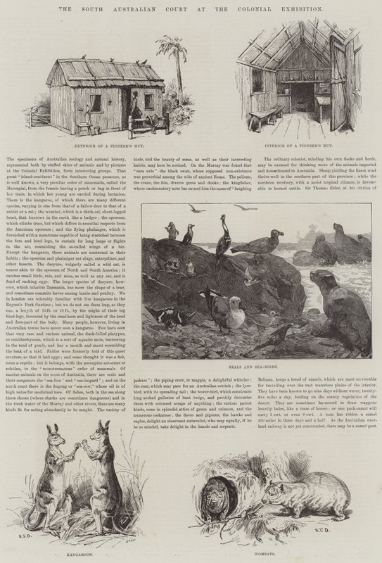 Koloni Sergisinde Güney Avustralya Mahkemesi by S.T. Dadd