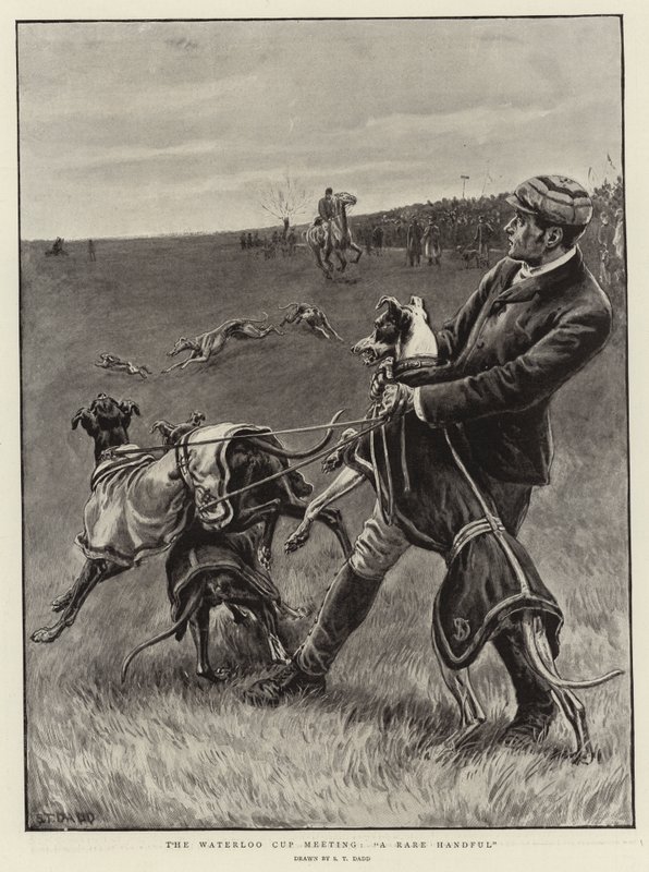 Waterloo Kupası toplantısı, Nadir Bir Avuç by S.T. Dadd