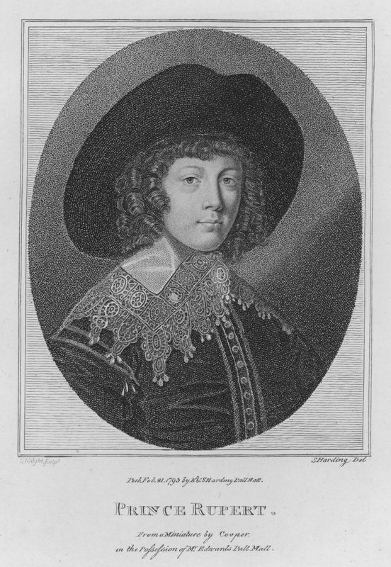 Prens Rupert (gravür) by S. (after) Harding