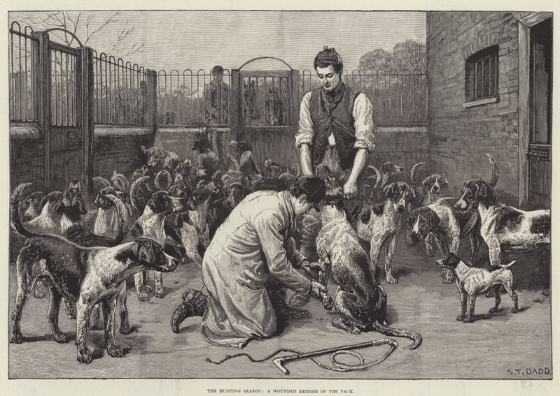 Av Mevsimi, Sürünün Yaralı Bir Üyesi (gravür) by S. T. Dadd