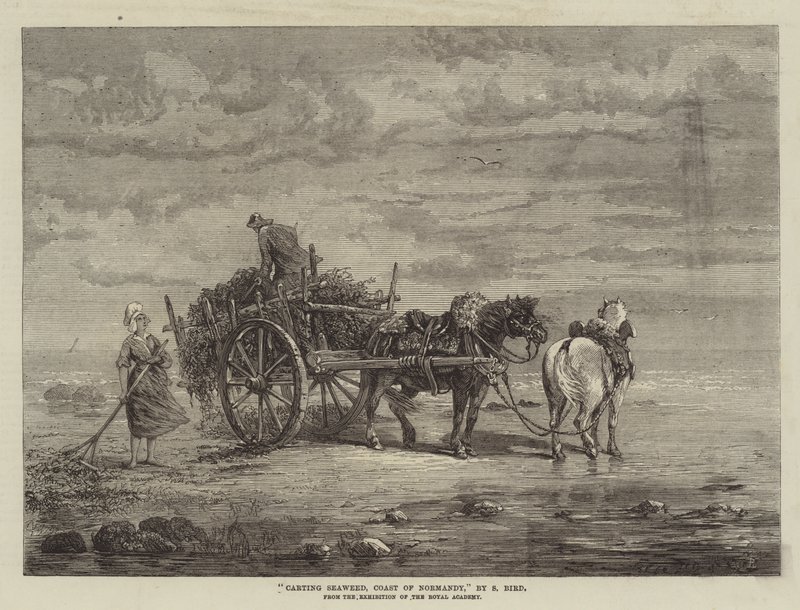 East Lyn, Lynton by Samuel C. Bird