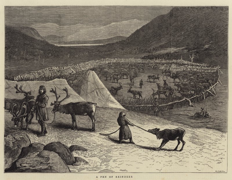 Ren Geyiği Kalemi by Samuel Edmund Waller