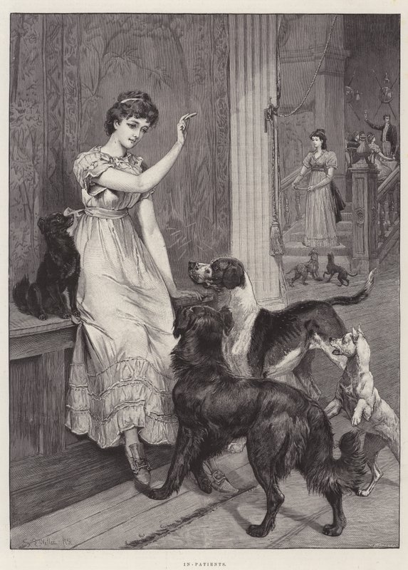 Hastalar by Samuel Edmund Waller