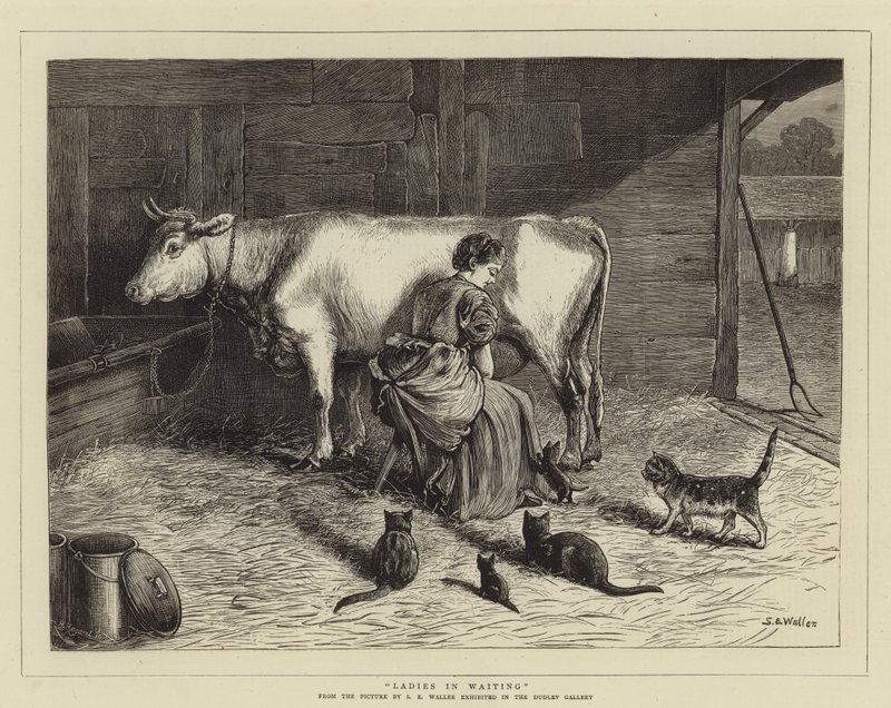 bekleyen bayanlar by Samuel Edmund Waller