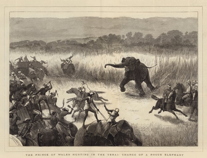 Galler Prensi Terai'de avlanıyor, Bir Hileli Filin Sorumluluğu by Samuel Edmund Waller