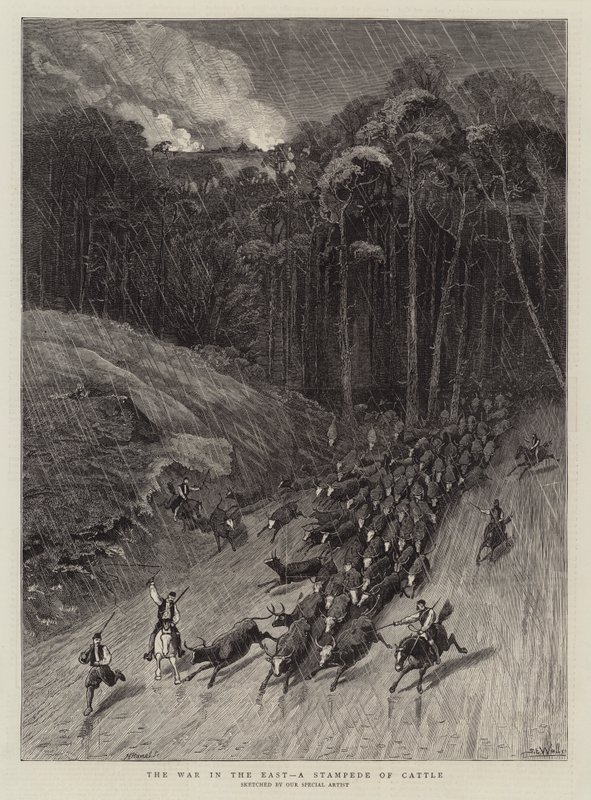 Doğudaki Savaş, Bir Sığır İzdihamı by Samuel Edmund Waller
