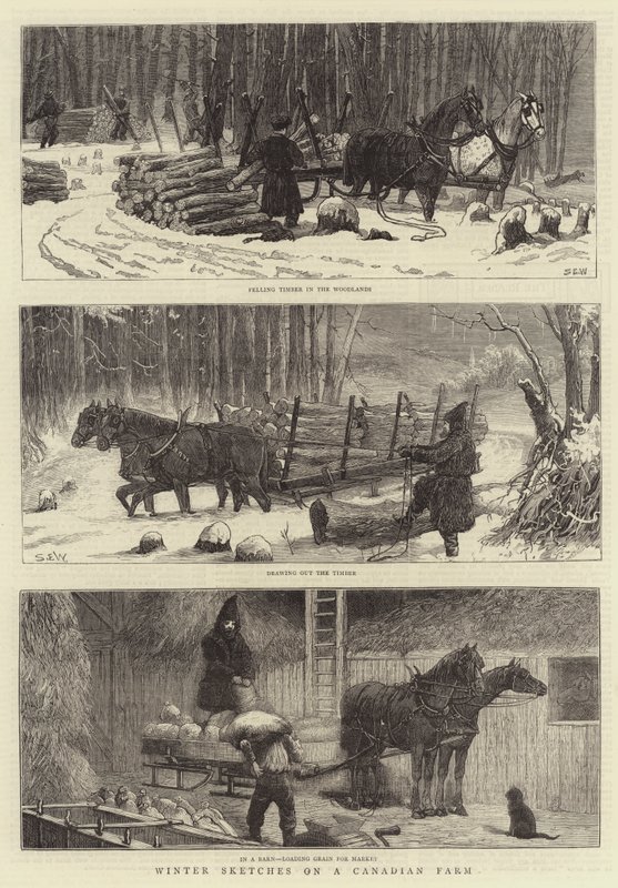 Bir Kanada Çiftliğinde Kış Eskizleri by Samuel Edmund Waller