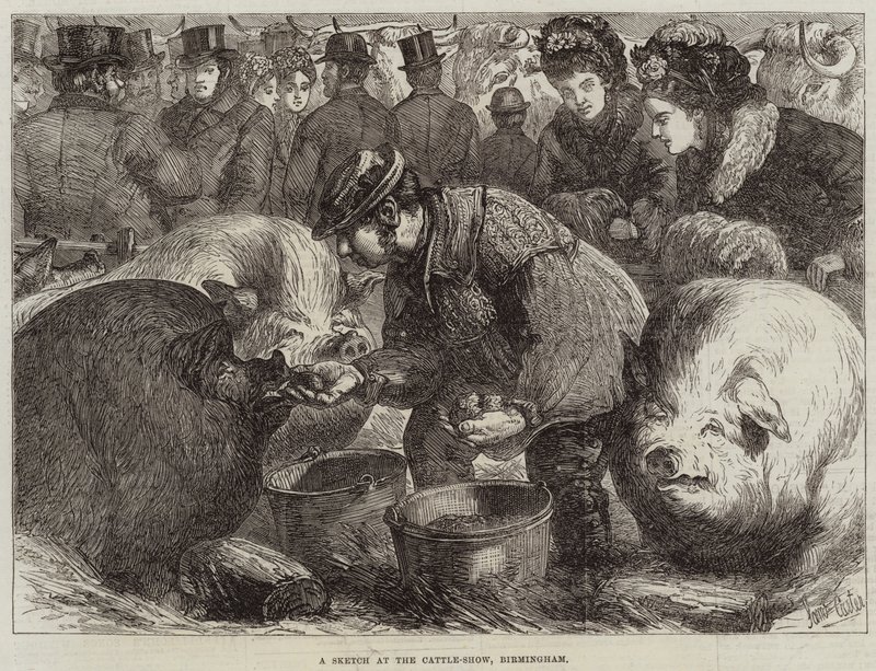 Cattle-Show, Birmingham
