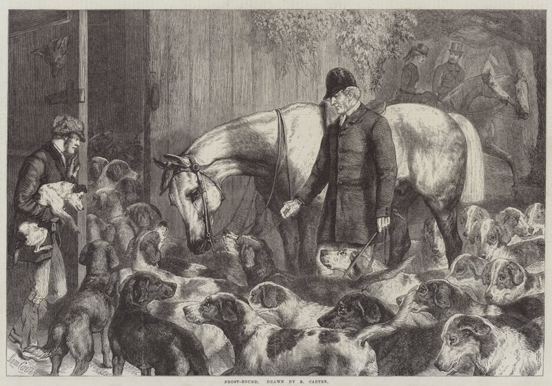 ಫ್ರಾಸ್ಟ್-ಬೌಂಡ್ ಟರ್ಕ್ by Samuel John Carter