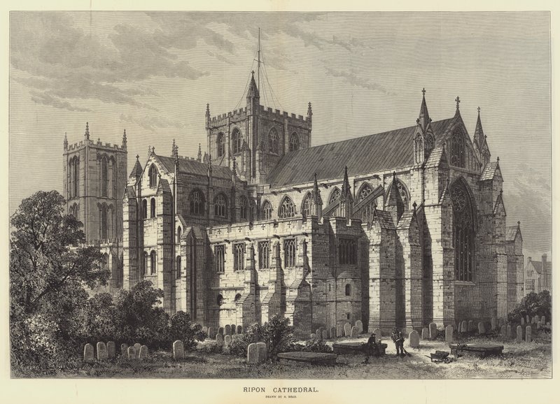 Ripon Katedrali by Samuel Read