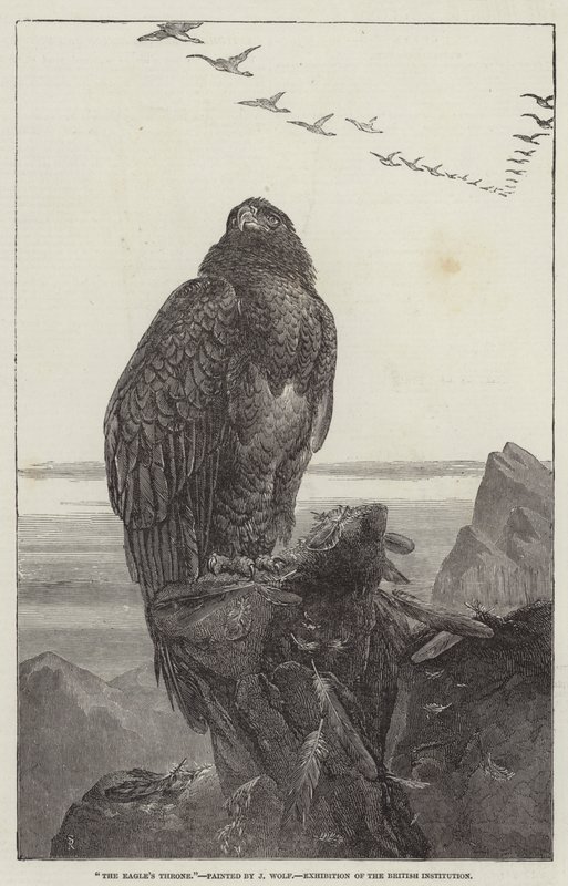 Kartalın Tahtı, İngiliz Kurumu Sergisi by Samuel Read