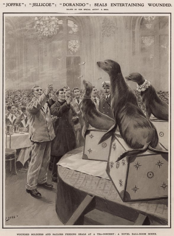 Bir çay konserinde fokları besleyen yaralı askerler ve denizciler by Samuel Begg