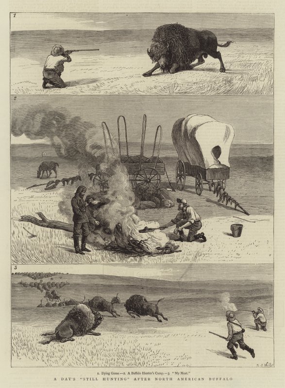 Kuzey Amerika Bufalosu'ndan Sonra Bir Gün Hala Avlanıyor by Samuel Edmund Waller