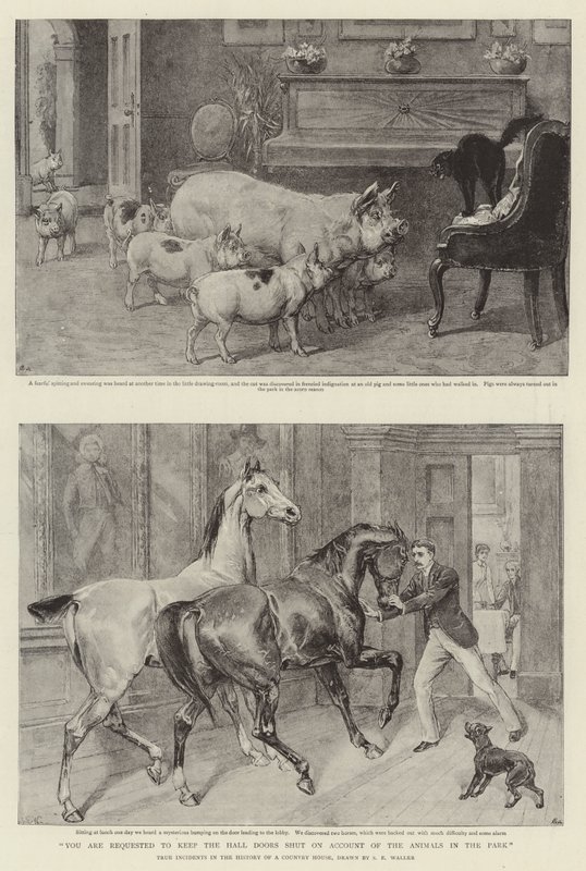 Jesús sem ungur drengur - Biblía by Samuel Edmund Waller