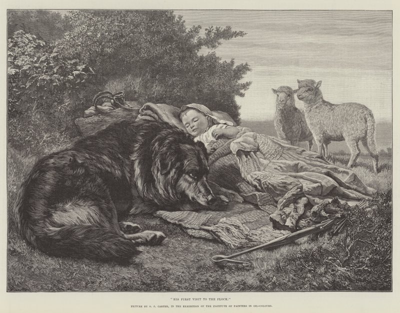 Yağlı Boya Ressamlar Enstitüsü Sergisinde Sürüye İlk Ziyareti by Samuel John Carter