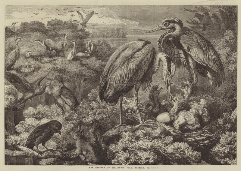 Didlington Park, Norfolk'ta Heronry by Samuel John Carter
