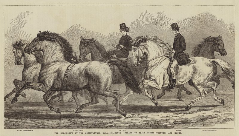 Tarım Salonundaki At Gösterisi, Islington, Ödüllü Atlar, Paçalar ve Hackler Geçit Töreni by Samuel John Carter