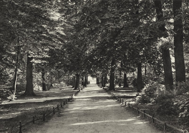 Berlin: Tiergarten (s/b fotoğraf) by Sasha Stone