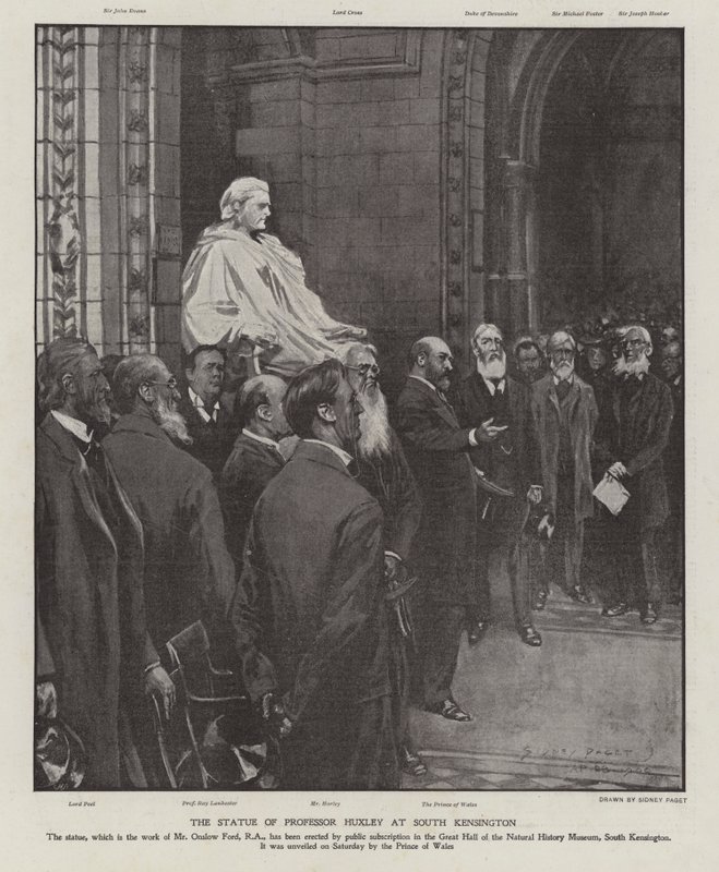 Profesör Thomas Henry Huxley