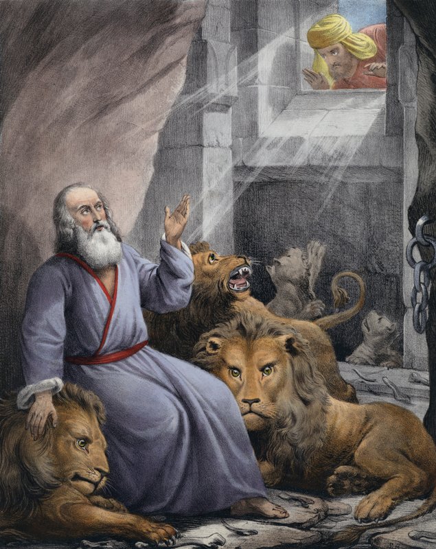 Lions Den