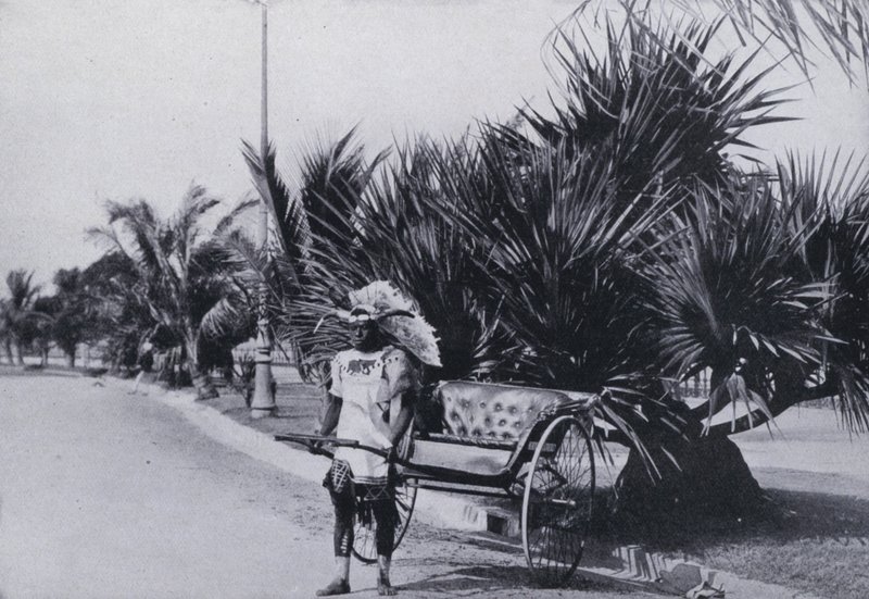 Bay Esplanade, Durban, Ricksha'yı gösteriyor (s/b fotoğraf) by South African Photographer