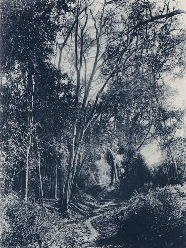 Lydenburg Bölgesi